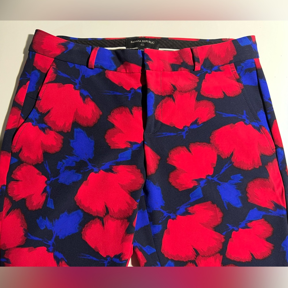Banana Republic Ryan Pants | Size 4P